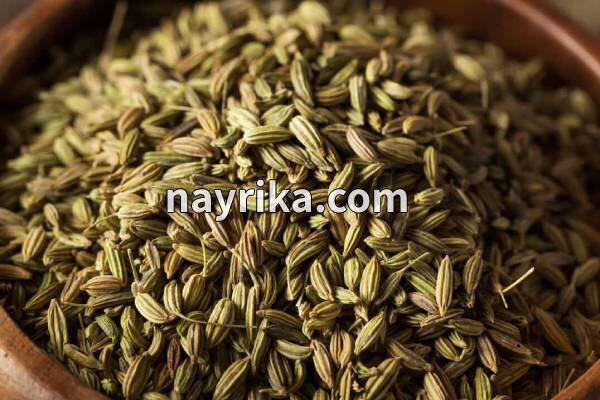 رازیانه, خواص رازیانه, مضرات رازیانه, دمنوش رازیانه, مضرات رازیانه برای زنان, خواص رازیانه برای پوست, رازیانه و قاعدگی, خواص رازیانه برای مردان, طریقه مصرف رازیانه, خواص رازیانه برای تخمدان, ماسک رازیانه و روغن زیتون رازیانه, خواص رازیانه, مضرات رازیانه, دمنوش رازیانه, مضرات رازیانه برای زنان, خواص رازیانه برای پوست, رازیانه و قاعدگی, خواص رازیانه برای مردان, طریقه مصرف رازیانه, خواص رازیانه برای تخمدان, ماسک رازیانه و روغن زیتون