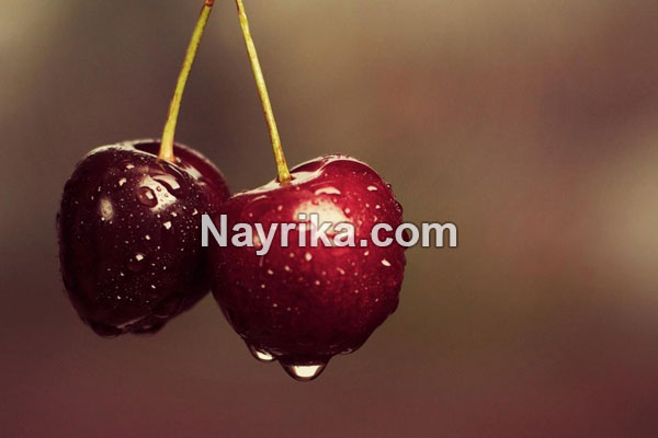 گیلاس, خواص گیلاس, مضرات گیلاس, طبع گیلاس, خواص گیلاس خشک, خواص گیلاس زرد, خواص گیلاس وحشی, خواص گیلاس در بارداری, خواص گیلاس برای پوست, خواص گیلاس برای سرطان, خواص گیلاس برای کبد, خواص گیلاس برای کودکان, خواص گیلاس برای دیابت, خواص گیلاس برای لاغری, درخت گیلاس گیلاس, خواص گیلاس, مضرات گیلاس, طبع گیلاس, خواص گیلاس خشک, خواص گیلاس زرد, خواص گیلاس وحشی, خواص گیلاس در بارداری, خواص گیلاس برای پوست, خواص گیلاس برای سرطان, خواص گیلاس برای کبد, خواص گیلاس برای کودکان, خواص گیلاس برای دیابت, خواص گیلاس برای لاغری, درخت گیلاس