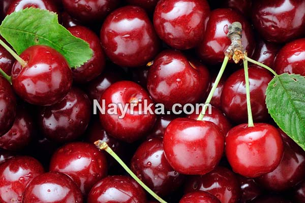 گیلاس, خواص گیلاس, مضرات گیلاس, طبع گیلاس, خواص گیلاس خشک, خواص گیلاس زرد, خواص گیلاس وحشی, خواص گیلاس در بارداری, خواص گیلاس برای پوست, خواص گیلاس برای سرطان, خواص گیلاس برای کبد, خواص گیلاس برای کودکان, خواص گیلاس برای دیابت, خواص گیلاس برای لاغری, درخت گیلاس گیلاس, خواص گیلاس, مضرات گیلاس, طبع گیلاس, خواص گیلاس خشک, خواص گیلاس زرد, خواص گیلاس وحشی, خواص گیلاس در بارداری, خواص گیلاس برای پوست, خواص گیلاس برای سرطان, خواص گیلاس برای کبد, خواص گیلاس برای کودکان, خواص گیلاس برای دیابت, خواص گیلاس برای لاغری, درخت گیلاس