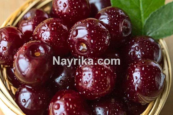 گیلاس, خواص گیلاس, مضرات گیلاس, طبع گیلاس, خواص گیلاس خشک, خواص گیلاس زرد, خواص گیلاس وحشی, خواص گیلاس در بارداری, خواص گیلاس برای پوست, خواص گیلاس برای سرطان, خواص گیلاس برای کبد, خواص گیلاس برای کودکان, خواص گیلاس برای دیابت, خواص گیلاس برای لاغری, درخت گیلاس گیلاس, خواص گیلاس, مضرات گیلاس, طبع گیلاس, خواص گیلاس خشک, خواص گیلاس زرد, خواص گیلاس وحشی, خواص گیلاس در بارداری, خواص گیلاس برای پوست, خواص گیلاس برای سرطان, خواص گیلاس برای کبد, خواص گیلاس برای کودکان, خواص گیلاس برای دیابت, خواص گیلاس برای لاغری, درخت گیلاس
