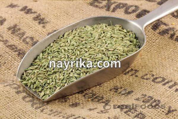 رازیانه, خواص رازیانه, مضرات رازیانه, دمنوش رازیانه, مضرات رازیانه برای زنان, خواص رازیانه برای پوست, رازیانه و قاعدگی, خواص رازیانه برای مردان, طریقه مصرف رازیانه, خواص رازیانه برای تخمدان, ماسک رازیانه و روغن زیتون رازیانه, خواص رازیانه, مضرات رازیانه, دمنوش رازیانه, مضرات رازیانه برای زنان, خواص رازیانه برای پوست, رازیانه و قاعدگی, خواص رازیانه برای مردان, طریقه مصرف رازیانه, خواص رازیانه برای تخمدان, ماسک رازیانه و روغن زیتون