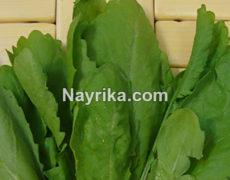 شاهی: طبع، خواص و مضرات شاهی در طب سنتی و روایات برای مو، بارداری و لاغری شاهی: طبع، خواص و مضرات شاهی در طب سنتی و روایات برای مو، بارداری و لاغری