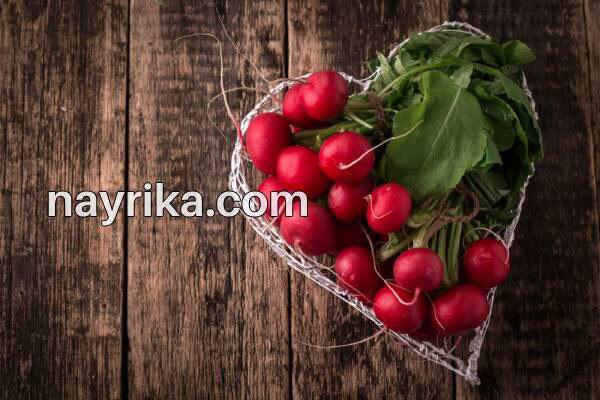 تربچه, خواص تربچه, مضرات تربچه, طبع تربچه, خواص برگ تربچه, ترب قرمز در بارداری, ترب قرمز و سنگ کلیه, کاشت تربچه, تربچه سفید, خواص تربچه نقلی, خواص برگ تربچه قرمز تربچه, خواص تربچه, مضرات تربچه, طبع تربچه, خواص برگ تربچه, ترب قرمز در بارداری, ترب قرمز و سنگ کلیه, کاشت تربچه, تربچه سفید, خواص تربچه نقلی, خواص برگ تربچه قرمز