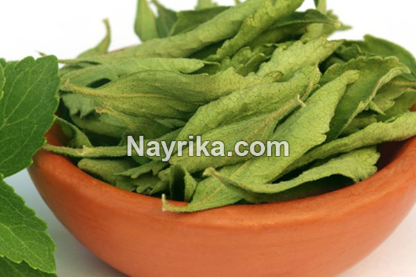 سنبل الطیب, سنبل الطیب چیست, خواص سنبل الطیب, مضرات سنبل الطیب, طبع سنبل الطیب, دمنوش سنبل الطیب, خواص سنبل الطیب و گل گاوزبان, سنبل الطیب و فشار خون, سنبل الطیب در جدول, عرق سنبل الطیب, دمنوش سنبل الطیب و اسطوخودوس سنبل الطیب, سنبل الطیب چیست, خواص سنبل الطیب, مضرات سنبل الطیب, طبع سنبل الطیب, دمنوش سنبل الطیب, خواص سنبل الطیب و گل گاوزبان, سنبل الطیب و فشار خون, سنبل الطیب در جدول, عرق سنبل الطیب, دمنوش سنبل الطیب و اسطوخودوس