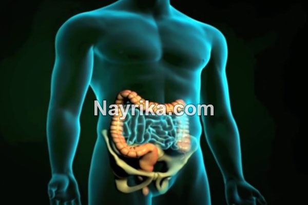 آپاندیس, علائم آپاندیس, درمان آپاندیس, ترکیدن آپاندیس, علت آپاندیس, چگونه آپاندیس را تشخیص دهیم, عمل آپاندیس, آپاندیس سمت راست یا چپ, علائم آپاندیس در زنان آپاندیس, علائم آپاندیس, درمان آپاندیس, ترکیدن آپاندیس, علت آپاندیس, چگونه آپاندیس را تشخیص دهیم, عمل آپاندیس, آپاندیس سمت راست یا چپ, علائم آپاندیس در زنان