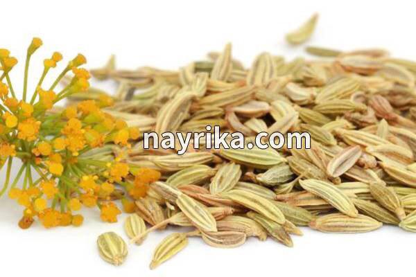 رازیانه, خواص رازیانه, مضرات رازیانه, دمنوش رازیانه, مضرات رازیانه برای زنان, خواص رازیانه برای پوست, رازیانه و قاعدگی, خواص رازیانه برای مردان, طریقه مصرف رازیانه, خواص رازیانه برای تخمدان, ماسک رازیانه و روغن زیتون رازیانه, خواص رازیانه, مضرات رازیانه, دمنوش رازیانه, مضرات رازیانه برای زنان, خواص رازیانه برای پوست, رازیانه و قاعدگی, خواص رازیانه برای مردان, طریقه مصرف رازیانه, خواص رازیانه برای تخمدان, ماسک رازیانه و روغن زیتون