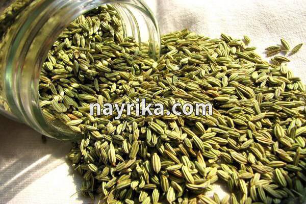 رازیانه, خواص رازیانه, مضرات رازیانه, دمنوش رازیانه, مضرات رازیانه برای زنان, خواص رازیانه برای پوست, رازیانه و قاعدگی, خواص رازیانه برای مردان, طریقه مصرف رازیانه, خواص رازیانه برای تخمدان, ماسک رازیانه و روغن زیتون رازیانه, خواص رازیانه, مضرات رازیانه, دمنوش رازیانه, مضرات رازیانه برای زنان, خواص رازیانه برای پوست, رازیانه و قاعدگی, خواص رازیانه برای مردان, طریقه مصرف رازیانه, خواص رازیانه برای تخمدان, ماسک رازیانه و روغن زیتون