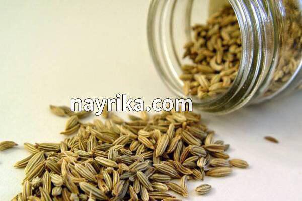 رازیانه, خواص رازیانه, مضرات رازیانه, دمنوش رازیانه, مضرات رازیانه برای زنان, خواص رازیانه برای پوست, رازیانه و قاعدگی, خواص رازیانه برای مردان, طریقه مصرف رازیانه, خواص رازیانه برای تخمدان, ماسک رازیانه و روغن زیتون رازیانه, خواص رازیانه, مضرات رازیانه, دمنوش رازیانه, مضرات رازیانه برای زنان, خواص رازیانه برای پوست, رازیانه و قاعدگی, خواص رازیانه برای مردان, طریقه مصرف رازیانه, خواص رازیانه برای تخمدان, ماسک رازیانه و روغن زیتون