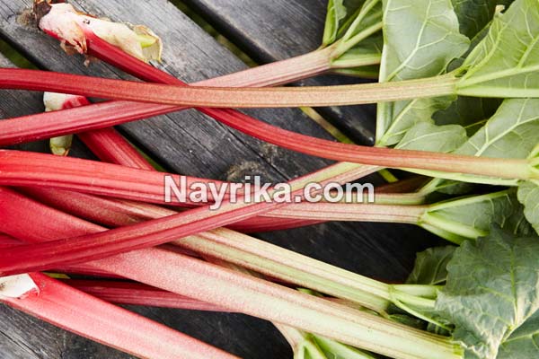 ریواس, خواص ریواس, مضرات ریواس, طبع ریواس, ریواس در بارداری, خورش ریواس, خورش ریواس با گوشت قرمز, ریواس پلو, شربت ریواس, خورشت ریواس مجلسی ریواس, خواص ریواس, مضرات ریواس, طبع ریواس, ریواس در بارداری, خورش ریواس, خورش ریواس با گوشت قرمز, ریواس پلو, شربت ریواس, خورشت ریواس مجلسی