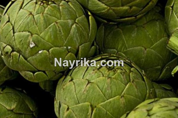 کنگر, خواص کنگر, مضرات کنگر, طبع کنگر, کنگر فرنگی, خورشت کنگر, کنگر ماست, خورشت کنگر فرنگی, کنگر فرنگی را از کجا بخریم, عکس کنگر کنگر, خواص کنگر, مضرات کنگر, طبع کنگر, کنگر فرنگی, خورشت کنگر, کنگر ماست, خورشت کنگر فرنگی, کنگر فرنگی را از کجا بخریم, عکس کنگر