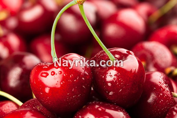 گیلاس, خواص گیلاس, مضرات گیلاس, طبع گیلاس, خواص گیلاس خشک, خواص گیلاس زرد, خواص گیلاس وحشی, خواص گیلاس در بارداری, خواص گیلاس برای پوست, خواص گیلاس برای سرطان, خواص گیلاس برای کبد, خواص گیلاس برای کودکان, خواص گیلاس برای دیابت, خواص گیلاس برای لاغری, درخت گیلاس گیلاس, خواص گیلاس, مضرات گیلاس, طبع گیلاس, خواص گیلاس خشک, خواص گیلاس زرد, خواص گیلاس وحشی, خواص گیلاس در بارداری, خواص گیلاس برای پوست, خواص گیلاس برای سرطان, خواص گیلاس برای کبد, خواص گیلاس برای کودکان, خواص گیلاس برای دیابت, خواص گیلاس برای لاغری, درخت گیلاس