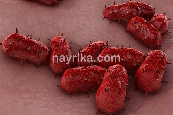 مننژیت, مننژیت چیست, علائم مننژیت, تشخیص مننژیت, مننژیت در نوزادان, واکسن مننژیت, پیشگیری از مننژیت, انواع مننژیت, درمان گیاهی مننژیت, آیا بیماری مننژیت کشنده است مننژیت, مننژیت چیست, علائم مننژیت, تشخیص مننژیت, مننژیت در نوزادان, واکسن مننژیت, پیشگیری از مننژیت, انواع مننژیت, درمان گیاهی مننژیت, آیا بیماری مننژیت کشنده است
