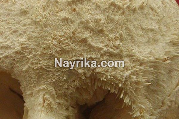 سرطان استخوان, سرطان استخوان چیست, علائم سرطان استخوان, تشخیص سرطان استخوان, سرطان استخوان ستون فقرات, آیا سرطان استخوان کشنده است, درمان سرطان استخوان, علائم سرطان استخوان لگن خاصره, انواع سرطان استخوان, سرطان استخوان ویکی پدیا, درمان سرطان استخوان در طب سنتی, عکس سرطان استخوان, ایا سرطان مغز استخوان کشنده است سرطان استخوان, سرطان استخوان چیست, علائم سرطان استخوان, تشخیص سرطان استخوان, سرطان استخوان ستون فقرات, آیا سرطان استخوان کشنده است, درمان سرطان استخوان, علائم سرطان استخوان لگن خاصره, انواع سرطان استخوان, سرطان استخوان ویکی پدیا, درمان سرطان استخوان در طب سنتی, عکس سرطان استخوان, ایا سرطان مغز استخوان کشنده است