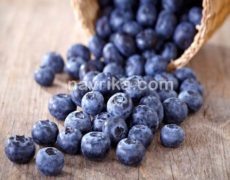 بلوبری: خواص، مضرات، طبع / بلوبری از کجا بخریم