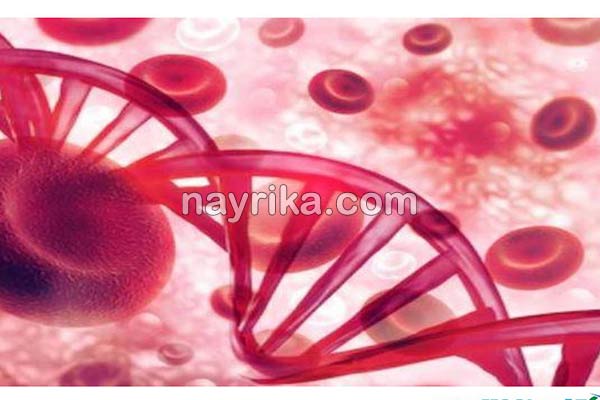 تالاسمی, تالاسمی چیست, انواع تالاسمی, علائم تالاسمی, درمان تالاسمی, تالاسمی آلفا+ازدواج, تالاسمی مینور ازدواج, تالاسمی مینور و بارداری, تالاسمی بتا, تالاسمی آلفا, علائم تالاسمی مینور در بزرگسالان, ازدواج تالاسمی آلفا و بتا, نشانه های ظاهری تالاسمی مینور, از کجا بفهمم تالاسمی دارم