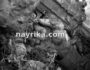 تعبیر خواب تیراندازی و جنگ: اسلحه و هفت تیر در دست / تیر خوردن و زنده ماندن