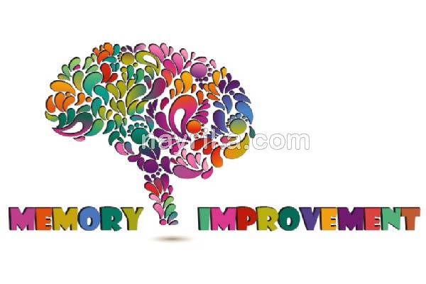 تقویت حافظه, خوراکی تقویت حافظه, برای تقویت حافظه چه دارویی بخوریم, تقویت حافظه برای درس خواندن, کندر برای تقویت حافظه, راه های تقویت حافظه و هوش, تقویت حافظه در طب سنتی, تقویت حافظه کودکان, برای تقویت حافظه چه بخوریم تقویت حافظه, خوراکی تقویت حافظه, برای تقویت حافظه چه دارویی بخوریم, تقویت حافظه برای درس خواندن, کندر برای تقویت حافظه, راه های تقویت حافظه و هوش, تقویت حافظه در طب سنتی, تقویت حافظه کودکان, برای تقویت حافظه چه بخوریم