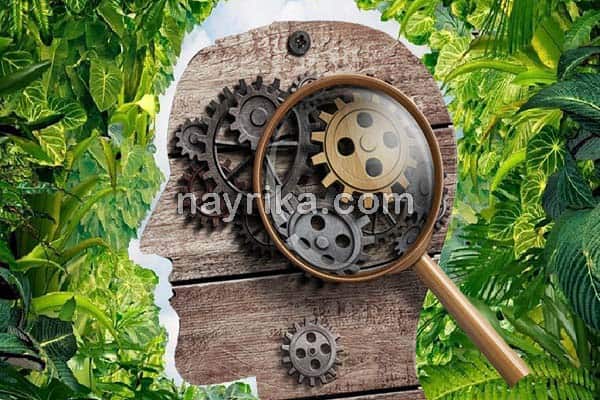 تقویت حافظه, خوراکی تقویت حافظه, برای تقویت حافظه چه دارویی بخوریم, تقویت حافظه برای درس خواندن, کندر برای تقویت حافظه, راه های تقویت حافظه و هوش, تقویت حافظه در طب سنتی, تقویت حافظه کودکان, برای تقویت حافظه چه بخوریم تقویت حافظه, خوراکی تقویت حافظه, برای تقویت حافظه چه دارویی بخوریم, تقویت حافظه برای درس خواندن, کندر برای تقویت حافظه, راه های تقویت حافظه و هوش, تقویت حافظه در طب سنتی, تقویت حافظه کودکان, برای تقویت حافظه چه بخوریم