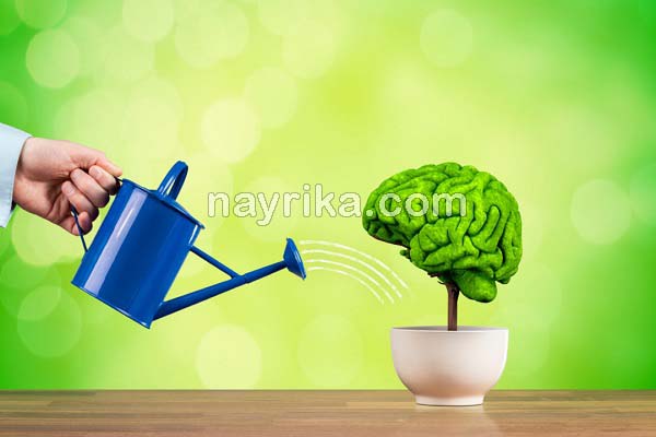 تقویت حافظه, خوراکی تقویت حافظه, برای تقویت حافظه چه دارویی بخوریم, تقویت حافظه برای درس خواندن, کندر برای تقویت حافظه, راه های تقویت حافظه و هوش, تقویت حافظه در طب سنتی, تقویت حافظه کودکان, برای تقویت حافظه چه بخوریم تقویت حافظه, خوراکی تقویت حافظه, برای تقویت حافظه چه دارویی بخوریم, تقویت حافظه برای درس خواندن, کندر برای تقویت حافظه, راه های تقویت حافظه و هوش, تقویت حافظه در طب سنتی, تقویت حافظه کودکان, برای تقویت حافظه چه بخوریم