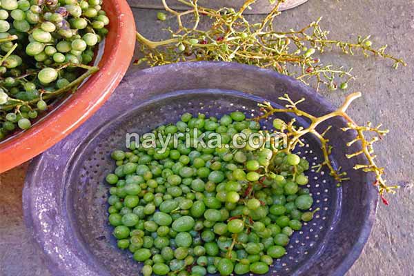 آبغوره, خواص آبغوره, مضرات آبغوره, طبع آبغوره, خواص آبغوره برای پوست, آبغوره و دیابت, تهیه آبغوره, خواص آبغوره فشار خون, آیا آبغوره برای کبد چرب مفید است, خواص آبغوره با عسل آبغوره, خواص آبغوره, مضرات آبغوره, طبع آبغوره, خواص آبغوره برای پوست, آبغوره و دیابت, تهیه آبغوره, خواص آبغوره فشار خون, آیا آبغوره برای کبد چرب مفید است, خواص آبغوره با عسل