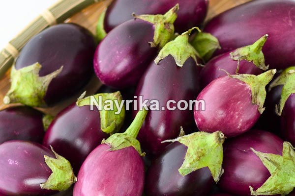 بادمجان, خواص بادمجان, مضرات بادمجان, طبع بادمجان, خواص پوست بادمجان, مضرات کشک بادمجان, پخت بادمجان, خواص کلاهک بادمجان, خواص بادمجان برای کودکان, خواص بادمجان برای دیابت, بادمجان در بارداری بادمجان, خواص بادمجان, مضرات بادمجان, طبع بادمجان, خواص پوست بادمجان, مضرات کشک بادمجان, پخت بادمجان, خواص کلاهک بادمجان, خواص بادمجان برای کودکان, خواص بادمجان برای دیابت, بادمجان در بارداری