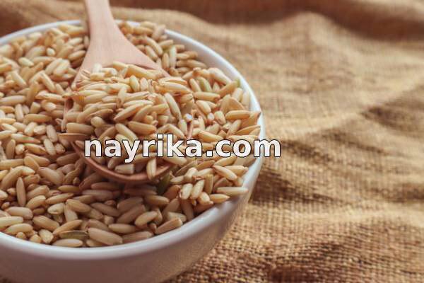 برنج قهوه ای, خواص برنج قهوه ای در طب سنتی, مضرات برنج قهوه ای, طبع برنج قهوه ای, برنج قهوه ای برای لاغری, خواص برنج قهوه ای در بدنسازی, سبوس برنج قهوه ای, روش پخن برنج قهوه ای, خواص برنج قهوه ای, عکس برنج قهوه ای برنج قهوه ای, خواص برنج قهوه ای در طب سنتی, مضرات برنج قهوه ای, طبع برنج قهوه ای, برنج قهوه ای برای لاغری, خواص برنج قهوه ای در بدنسازی, سبوس برنج قهوه ای, روش پخن برنج قهوه ای, خواص برنج قهوه ای, عکس برنج قهوه ای