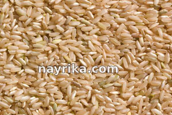 برنج قهوه ای, خواص برنج قهوه ای در طب سنتی, مضرات برنج قهوه ای, طبع برنج قهوه ای, برنج قهوه ای برای لاغری, خواص برنج قهوه ای در بدنسازی, سبوس برنج قهوه ای, روش پخن برنج قهوه ای, خواص برنج قهوه ای, عکس برنج قهوه ای برنج قهوه ای, خواص برنج قهوه ای در طب سنتی, مضرات برنج قهوه ای, طبع برنج قهوه ای, برنج قهوه ای برای لاغری, خواص برنج قهوه ای در بدنسازی, سبوس برنج قهوه ای, روش پخن برنج قهوه ای, خواص برنج قهوه ای, عکس برنج قهوه ای