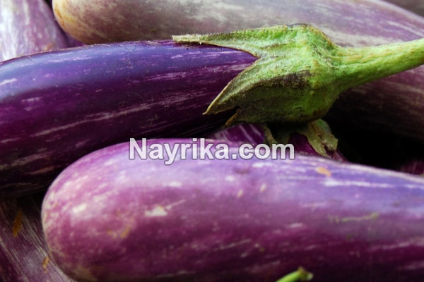 بادمجان, خواص بادمجان, مضرات بادمجان, طبع بادمجان, خواص پوست بادمجان, مضرات کشک بادمجان, پخت بادمجان, خواص کلاهک بادمجان, خواص بادمجان برای کودکان, خواص بادمجان برای دیابت, بادمجان در بارداری بادمجان, خواص بادمجان, مضرات بادمجان, طبع بادمجان, خواص پوست بادمجان, مضرات کشک بادمجان, پخت بادمجان, خواص کلاهک بادمجان, خواص بادمجان برای کودکان, خواص بادمجان برای دیابت, بادمجان در بارداری