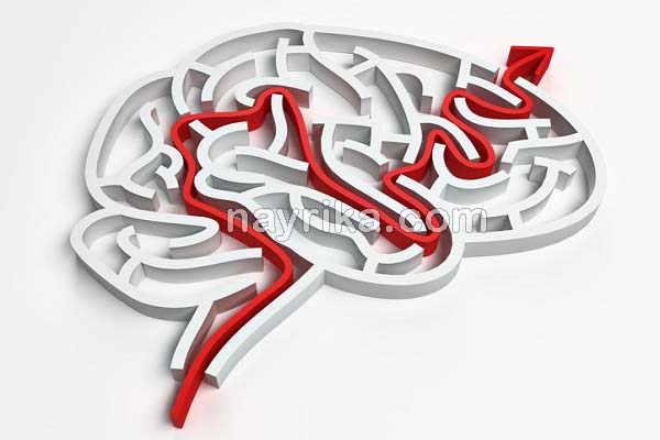 تقویت حافظه, خوراکی تقویت حافظه, برای تقویت حافظه چه دارویی بخوریم, تقویت حافظه برای درس خواندن, کندر برای تقویت حافظه, راه های تقویت حافظه و هوش, تقویت حافظه در طب سنتی, تقویت حافظه کودکان, برای تقویت حافظه چه بخوریم تقویت حافظه, خوراکی تقویت حافظه, برای تقویت حافظه چه دارویی بخوریم, تقویت حافظه برای درس خواندن, کندر برای تقویت حافظه, راه های تقویت حافظه و هوش, تقویت حافظه در طب سنتی, تقویت حافظه کودکان, برای تقویت حافظه چه بخوریم