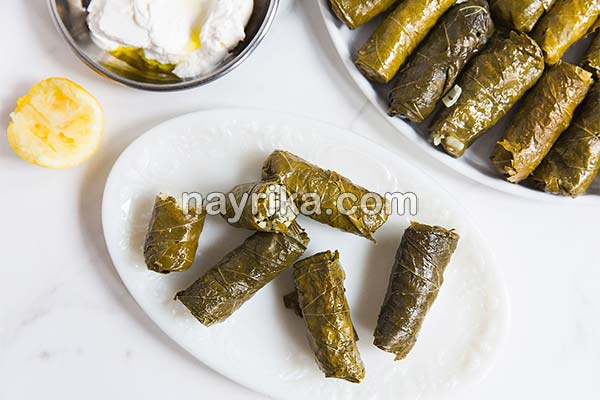دلمه, طرز تهیه دلمه, سس دلمه, دلمه برگ مو تبریزی, تاریخچه دلمه, دلمه فلفل, طرز تهیه دلمه برگ مو ملس, دلمه برگ مو با رب انار, مواد دلمه, عکس دلمه دلمه, طرز تهیه دلمه, سس دلمه, دلمه برگ مو تبریزی, تاریخچه دلمه, دلمه فلفل, طرز تهیه دلمه برگ مو ملس, دلمه برگ مو با رب انار, مواد دلمه, عکس دلمه