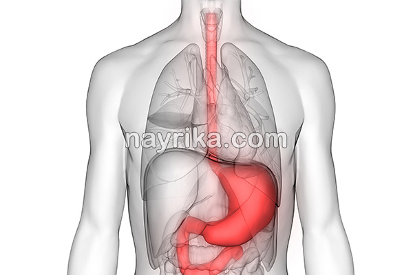 سرطان معده, سن سرطان معده, تشخیص سرطان معده, علائم اولیه سرطان معده, درمان سرطان معده, سرطان معده خوش خیم, طول عمر سرطان معده, درمان سرطان معده در طب سنتی, از کجا بفهمیم سرطان معده داریم, سرطان معده را چگونه تشخیص دهیم, علائم سرطان معده سرطان معده, سن سرطان معده, تشخیص سرطان معده, علائم اولیه سرطان معده, درمان سرطان معده, سرطان معده خوش خیم, طول عمر سرطان معده, درمان سرطان معده در طب سنتی, از کجا بفهمیم سرطان معده داریم, سرطان معده را چگونه تشخیص دهیم, علائم سرطان معده
