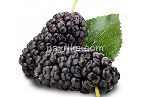 شاتوت, خواص شاتوت, مضرات شاتوت, طبع شاتوت, شاتوت در بارداری, شاتوت برای کودکان, حساسیت به شاتوت, شیره شاتوت شاتوت, خواص شاتوت, مضرات شاتوت, طبع شاتوت, شاتوت در بارداری, شاتوت برای کودکان, حساسیت به شاتوت, شیره شاتوت