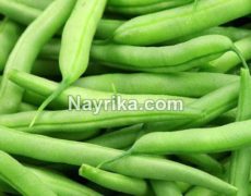 لوبیا سبز: خواص، مضرات، طبع / لوبیا سبز در لاغری و بارداری / پلو و خوراک لوبیا سبز