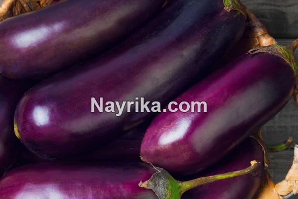 بادمجان, خواص بادمجان, مضرات بادمجان, طبع بادمجان, خواص پوست بادمجان, مضرات کشک بادمجان, پخت بادمجان, خواص کلاهک بادمجان, خواص بادمجان برای کودکان, خواص بادمجان برای دیابت, بادمجان در بارداری بادمجان, خواص بادمجان, مضرات بادمجان, طبع بادمجان, خواص پوست بادمجان, مضرات کشک بادمجان, پخت بادمجان, خواص کلاهک بادمجان, خواص بادمجان برای کودکان, خواص بادمجان برای دیابت, بادمجان در بارداری