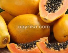 پاپایا (خربزه درختی) : خواص، مضرات، طبع / پاپایا و سقط جنین / پاپایا در بارداری پاپایا (خربزه درختی) : خواص، مضرات، طبع / پاپایا و سقط جنین / پاپایا در بارداری