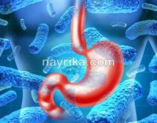 پروبیوتیک: منابع، خواص / محصولات پروبیوتیک / ماست و مکمل پروبیوتیک / واژینال