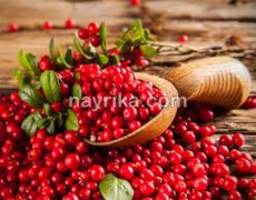 کرن بری: خواص، مضرات، طبع، کاشت، دمنوش، کپسول / کرن بری برای پوست