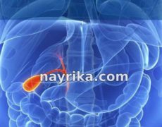 کیسه صفرا: علائم، جای آن در بدن، فواید برای بدن، عفونت، سنگ، بهترین نوشیدنی کیسه صفرا: علائم، جای آن در بدن، فواید برای بدن، عفونت، سنگ، بهترین نوشیدنی