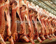 گوشت های برزیلی وارداتی : آخرین اخبار مربوط به رسیدگی به پرونده گوشت های برزیلی گوشت های برزیلی وارداتی : آخرین اخبار مربوط به رسیدگی به پرونده گوشت های برزیلی