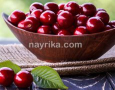 آلبالو: خواص، مضرات، طبع، چای / آلبالو خشک و یخ زده / آلبالو در بارداری، کبد، کودکان آلبالو: خواص، مضرات، طبع، چای / آلبالو خشک و یخ زده / آلبالو در بارداری، کبد، کودکان