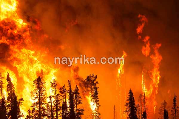 تعبیر خواب آتش, آتش, آتش سوزی, تعبیر خواب آتش سوزی, تعبیر خواب آتش ابن سیرین, تعبیر خواب آتش سوزی در شهر, تعبیر خواب آتش گرفتن خانه دیگران, تعبیر خواب آتش گرفتن ماشین چیست, تعبیر خواب آتش گرفتن خانه پدری, تعبیر خواب آتش گرفتن جنگل, تعبیر خواب آتش زدن, تعبیر خواب آتش سوزی جنگل, تعبیر خواب آتش گرفتن خانه پدری, تعبیر خواب آتش سوزی امام صادق, تعبیر خواب آتش گرفتن خانه دیگری, تعبیر خواب آتش گرفتن خانه مرده تعبیر خواب آتش, آتش, آتش سوزی, تعبیر خواب آتش سوزی, تعبیر خواب آتش ابن سیرین, تعبیر خواب آتش سوزی در شهر, تعبیر خواب آتش گرفتن خانه دیگران, تعبیر خواب آتش گرفتن ماشین چیست, تعبیر خواب آتش گرفتن خانه پدری, تعبیر خواب آتش گرفتن جنگل, تعبیر خواب آتش زدن, تعبیر خواب آتش سوزی جنگل, تعبیر خواب آتش گرفتن خانه پدری, تعبیر خواب آتش سوزی امام صادق, تعبیر خواب آتش گرفتن خانه دیگری, تعبیر خواب آتش گرفتن خانه مرده