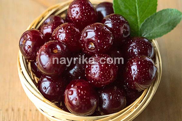 آلبالو, خواص آلبالو, مضرات آلبالو, طبع آلبالو, خواص آلبالو در دوران بارداری, خواص آلبالو برای کبد, خواص آلبالو برای کودکان, خواص چای آلبالو, خواص آلبالو خشک, خواص آلبالو یخ زده, خواص آلبالو خشک در طب سنتی, فواید آلبالو آلبالو, خواص آلبالو, مضرات آلبالو, طبع آلبالو, خواص آلبالو در دوران بارداری, خواص آلبالو برای کبد, خواص آلبالو برای کودکان, خواص چای آلبالو, خواص آلبالو خشک, خواص آلبالو یخ زده, خواص آلبالو خشک در طب سنتی, فواید آلبالو