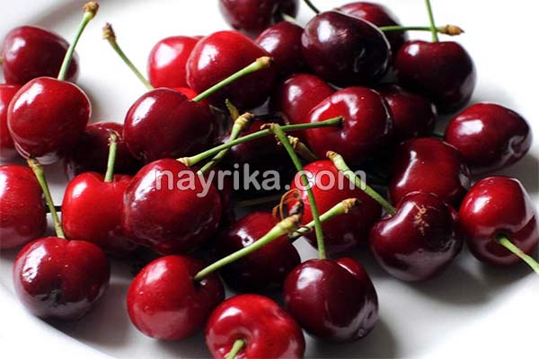 آلبالو, خواص آلبالو, مضرات آلبالو, طبع آلبالو, خواص آلبالو در دوران بارداری, خواص آلبالو برای کبد, خواص آلبالو برای کودکان, خواص چای آلبالو, خواص آلبالو خشک, خواص آلبالو یخ زده, خواص آلبالو خشک در طب سنتی, فواید آلبالو آلبالو, خواص آلبالو, مضرات آلبالو, طبع آلبالو, خواص آلبالو در دوران بارداری, خواص آلبالو برای کبد, خواص آلبالو برای کودکان, خواص چای آلبالو, خواص آلبالو خشک, خواص آلبالو یخ زده, خواص آلبالو خشک در طب سنتی, فواید آلبالو