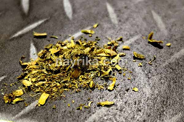 یونجه, خواص یونجه, مضرات یونجه, طبع یونجه, فرق یونجه و شبدر, خواص یونجه برای دیابت, طریقه مصرف یونجه, کاشت یونجه, جوانه یونجه, خواص جوانه یونجه یونجه, خواص یونجه, مضرات یونجه, طبع یونجه, فرق یونجه و شبدر, خواص یونجه برای دیابت, طریقه مصرف یونجه, کاشت یونجه, جوانه یونجه, خواص جوانه یونجه