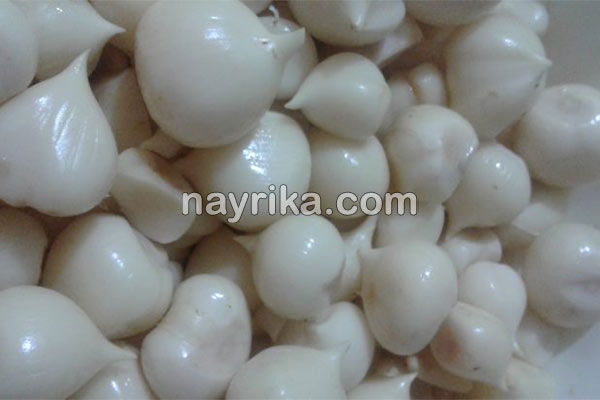 موسیر, موسیر چیست, خواص موسیر, مضرات موسیر, طبع موسیر, موسیر ایرانی, موسیر تازه, موسیر کوهی, ماست موسیر, خواص ماست موسیر موسیر, موسیر چیست, خواص موسیر, مضرات موسیر, طبع موسیر, موسیر ایرانی, موسیر تازه, موسیر کوهی, ماست موسیر, خواص ماست موسیر