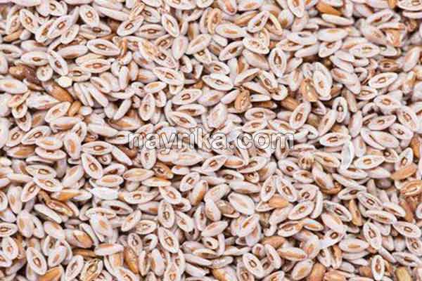 اسفرزه, خواص اسفرزه, عوارض اسفرزه, طبع اسفرزه, اسفرزه سفید, طریقه مصرف اسفرزه برای لاغری, اسفرزه برای یبوست, اسفرزه در بارداری, خواص اسفرزه برای پوست, خواص اسفرزه برای یبوست, نحوه مصرف اسفرزه, مضرات اسفرزه, عوارض اسفرزه چیست اسفرزه, خواص اسفرزه, عوارض اسفرزه, طبع اسفرزه, اسفرزه سفید, طریقه مصرف اسفرزه برای لاغری, اسفرزه برای یبوست, اسفرزه در بارداری, خواص اسفرزه برای پوست, خواص اسفرزه برای یبوست, نحوه مصرف اسفرزه, مضرات اسفرزه, عوارض اسفرزه چیست