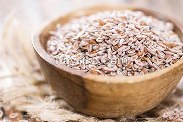 اسفرزه, خواص اسفرزه, عوارض اسفرزه, طبع اسفرزه, اسفرزه سفید, طریقه مصرف اسفرزه برای لاغری, اسفرزه برای یبوست, اسفرزه در بارداری, خواص اسفرزه برای پوست, خواص اسفرزه برای یبوست, نحوه مصرف اسفرزه, مضرات اسفرزه, عوارض اسفرزه چیست اسفرزه, خواص اسفرزه, عوارض اسفرزه, طبع اسفرزه, اسفرزه سفید, طریقه مصرف اسفرزه برای لاغری, اسفرزه برای یبوست, اسفرزه در بارداری, خواص اسفرزه برای پوست, خواص اسفرزه برای یبوست, نحوه مصرف اسفرزه, مضرات اسفرزه, عوارض اسفرزه چیست