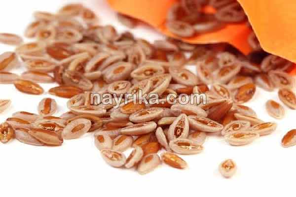 اسفرزه, خواص اسفرزه, عوارض اسفرزه, طبع اسفرزه, اسفرزه سفید, طریقه مصرف اسفرزه برای لاغری, اسفرزه برای یبوست, اسفرزه در بارداری, خواص اسفرزه برای پوست, خواص اسفرزه برای یبوست, نحوه مصرف اسفرزه, مضرات اسفرزه, عوارض اسفرزه چیست اسفرزه, خواص اسفرزه, عوارض اسفرزه, طبع اسفرزه, اسفرزه سفید, طریقه مصرف اسفرزه برای لاغری, اسفرزه برای یبوست, اسفرزه در بارداری, خواص اسفرزه برای پوست, خواص اسفرزه برای یبوست, نحوه مصرف اسفرزه, مضرات اسفرزه, عوارض اسفرزه چیست