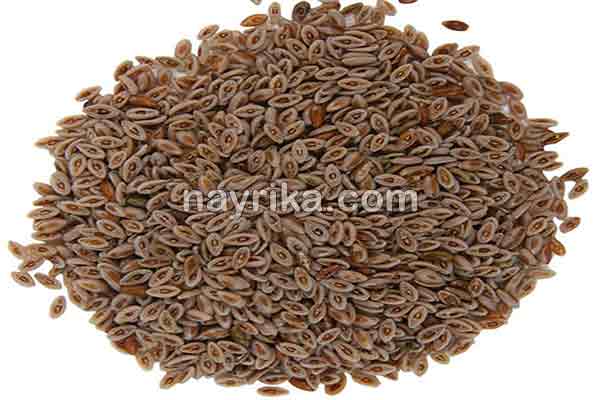 اسفرزه, خواص اسفرزه, عوارض اسفرزه, طبع اسفرزه, اسفرزه سفید, طریقه مصرف اسفرزه برای لاغری, اسفرزه برای یبوست, اسفرزه در بارداری, خواص اسفرزه برای پوست, خواص اسفرزه برای یبوست, نحوه مصرف اسفرزه, مضرات اسفرزه, عوارض اسفرزه چیست اسفرزه, خواص اسفرزه, عوارض اسفرزه, طبع اسفرزه, اسفرزه سفید, طریقه مصرف اسفرزه برای لاغری, اسفرزه برای یبوست, اسفرزه در بارداری, خواص اسفرزه برای پوست, خواص اسفرزه برای یبوست, نحوه مصرف اسفرزه, مضرات اسفرزه, عوارض اسفرزه چیست