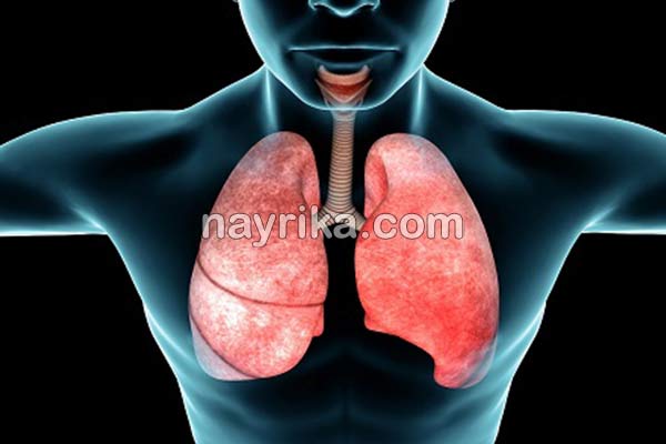 عفونت ریه, علائم عفونت ریه, تشخیص عفونت ریه, درمان عفونت ریه, طول درمان عفونت ریه, برای عفونت ریه چه بخوریم, درمان عفونت ریه در طب سنتی, درمان عفونت ریه دکتر خیراندیش, بهترین آنتی بیوتیک شیمیایی برای عفونت ریه, مرگ بر اثر عفونت ریه, آیا عفونت ریه خطرناک است, عفونت ریه در کودکان عفونت ریه, علائم عفونت ریه, تشخیص عفونت ریه, درمان عفونت ریه, طول درمان عفونت ریه, برای عفونت ریه چه بخوریم, درمان عفونت ریه در طب سنتی, درمان عفونت ریه دکتر خیراندیش, بهترین آنتی بیوتیک شیمیایی برای عفونت ریه, مرگ بر اثر عفونت ریه, آیا عفونت ریه خطرناک است, عفونت ریه در کودکان